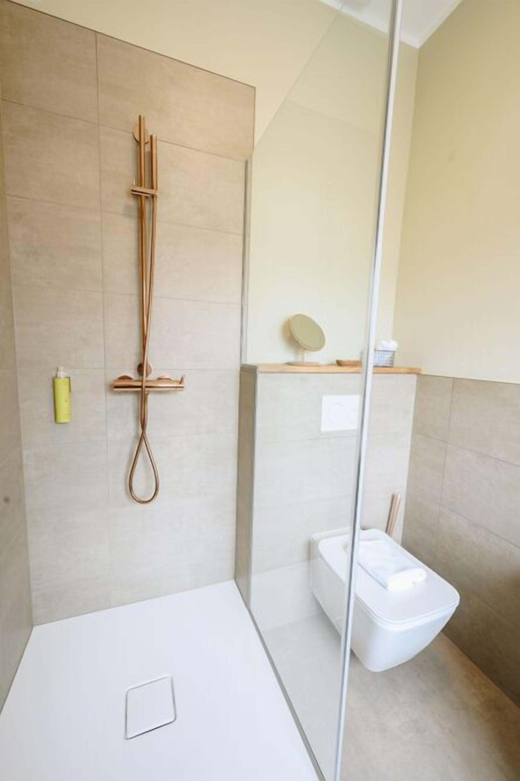 A modern bathroom with a glass shower enclosure, a white toilet, and a small shelf with toiletries.