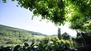 Una vista de un paisaje verde y exuberante, con colinas y una masa de agua a lo lejos.