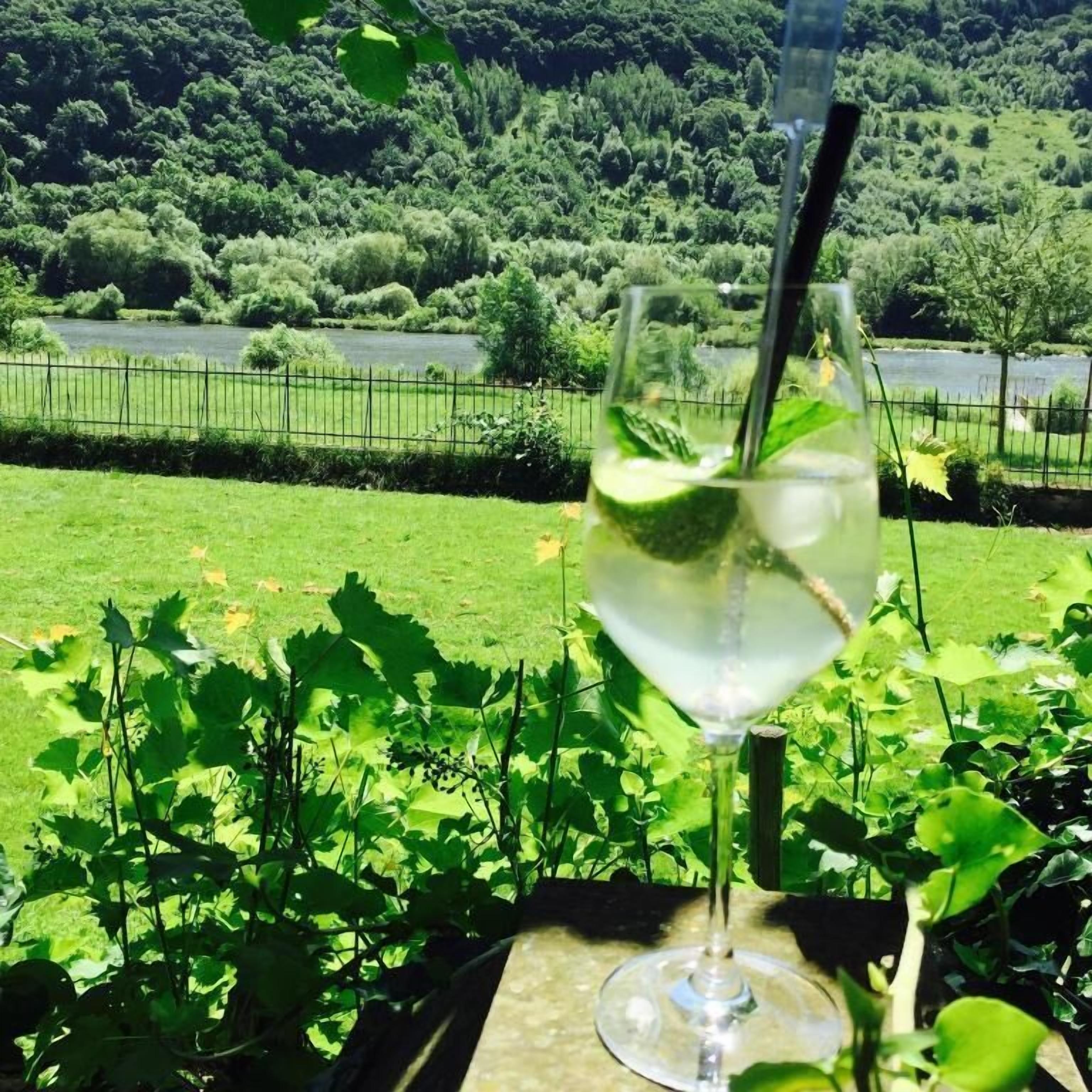 A glass of white wine with a straw, placed on a table outdoors with a view of a green landscape and a fence in the background.
