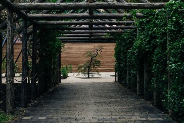 Ein gepflasterter Weg führt zu einer Holzpergola mit Weinreben.