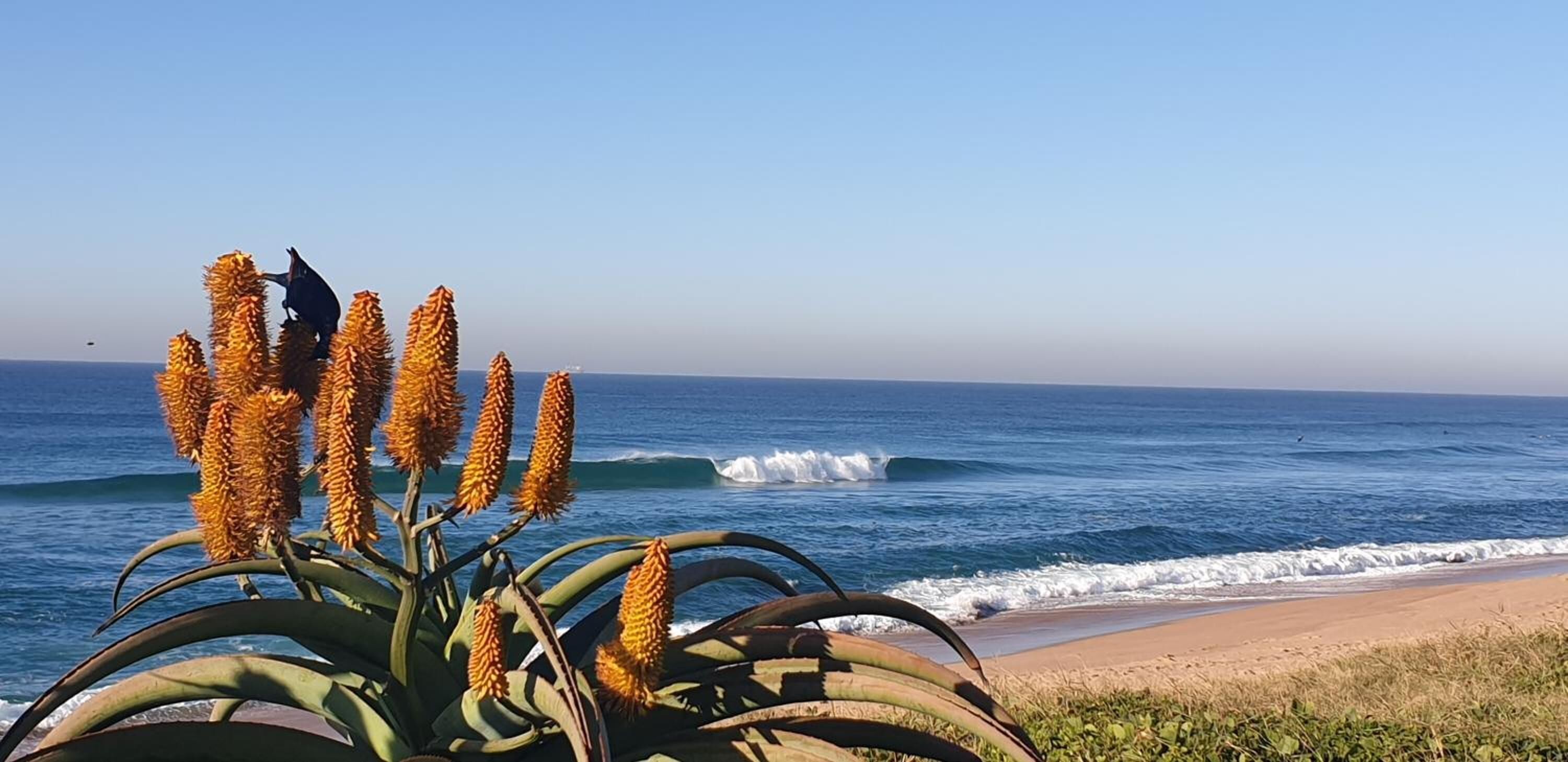 Beach towels, beach bar