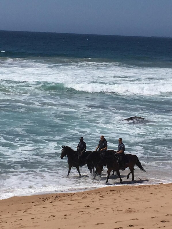 Three individuals on horseback along a beach with waves crashing onto the shore. - 809 Umdloti Resort (eMdloti)