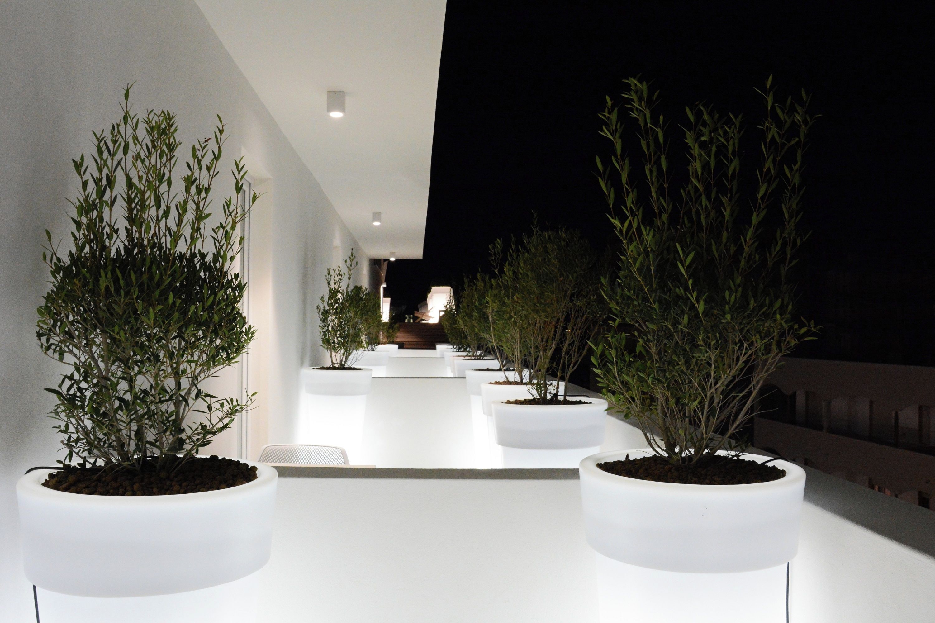 A modern outdoor corridor with white planters containing green plants, leading to a seating area.