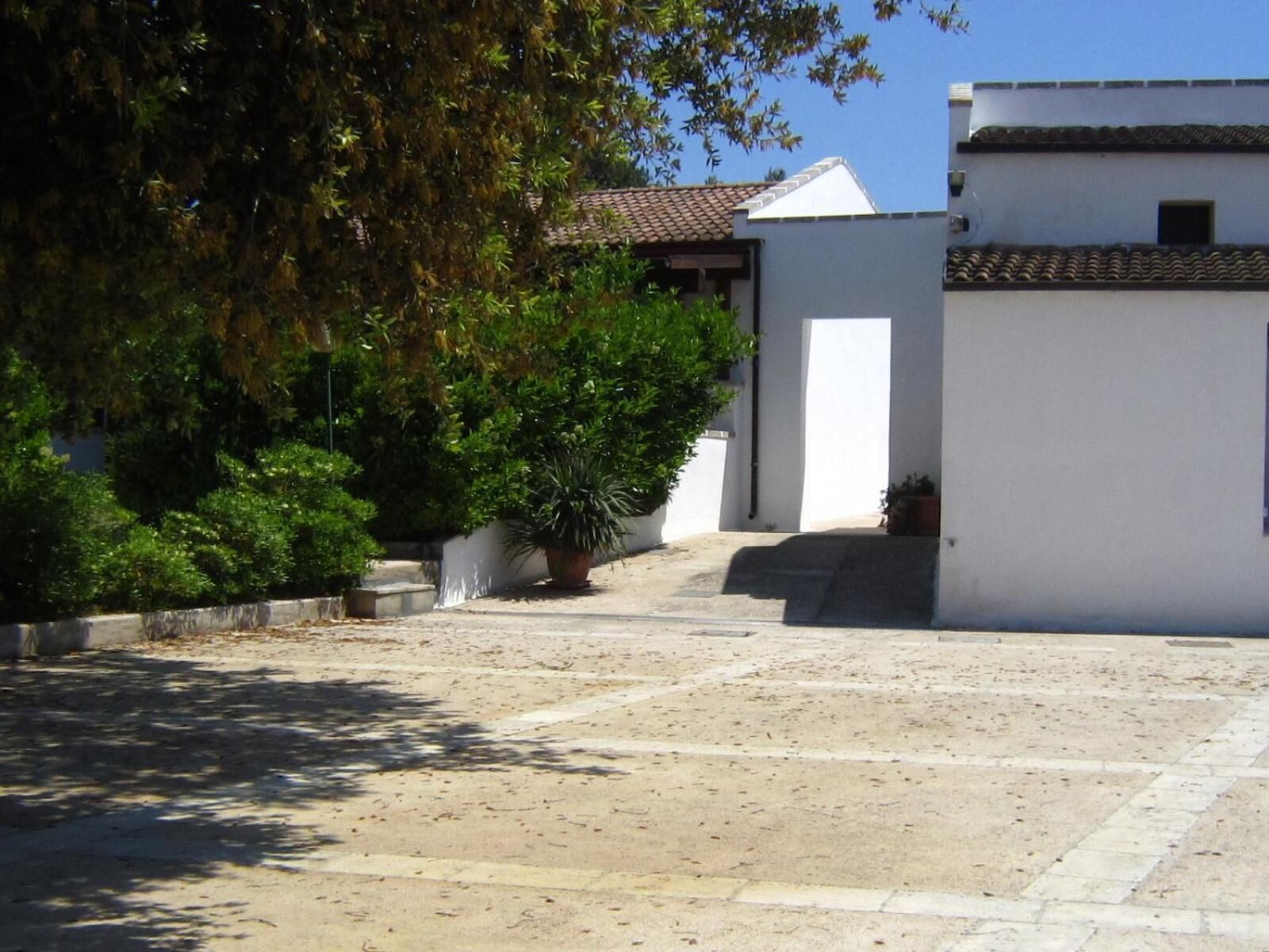 A courtyard with a white building, a tiled roof, and potted plants.