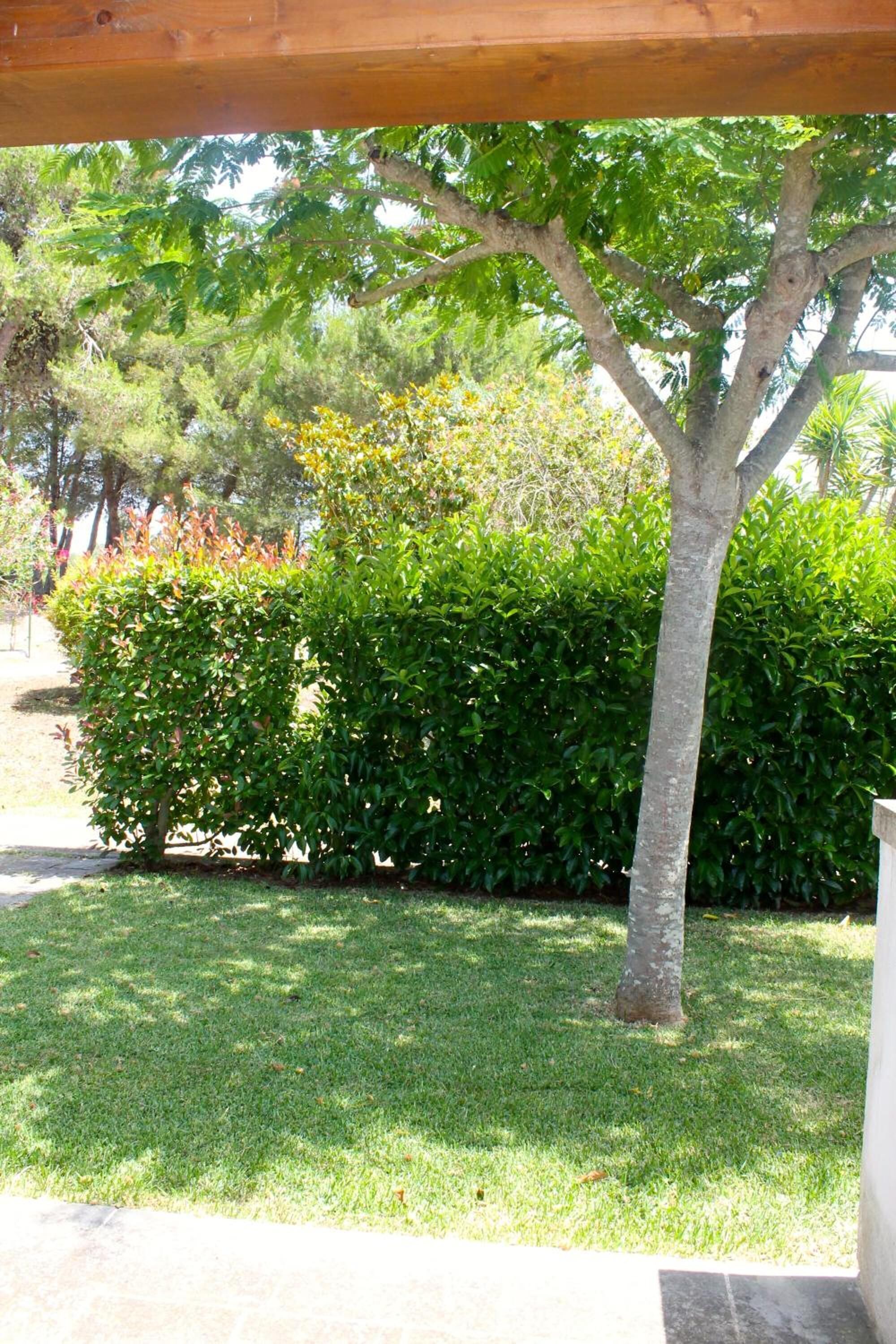 Un jardín bien cuidado con diversos árboles y arbustos, un sendero pavimentado y una pérgola de madera.