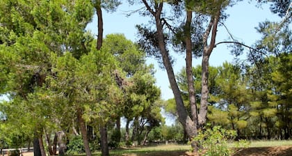 Hotel Masseria Fabrizio