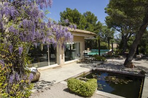 Un espacio exterior tranquilo con un patio, un estanque pequeño y un árbol cubierto de glicinias.