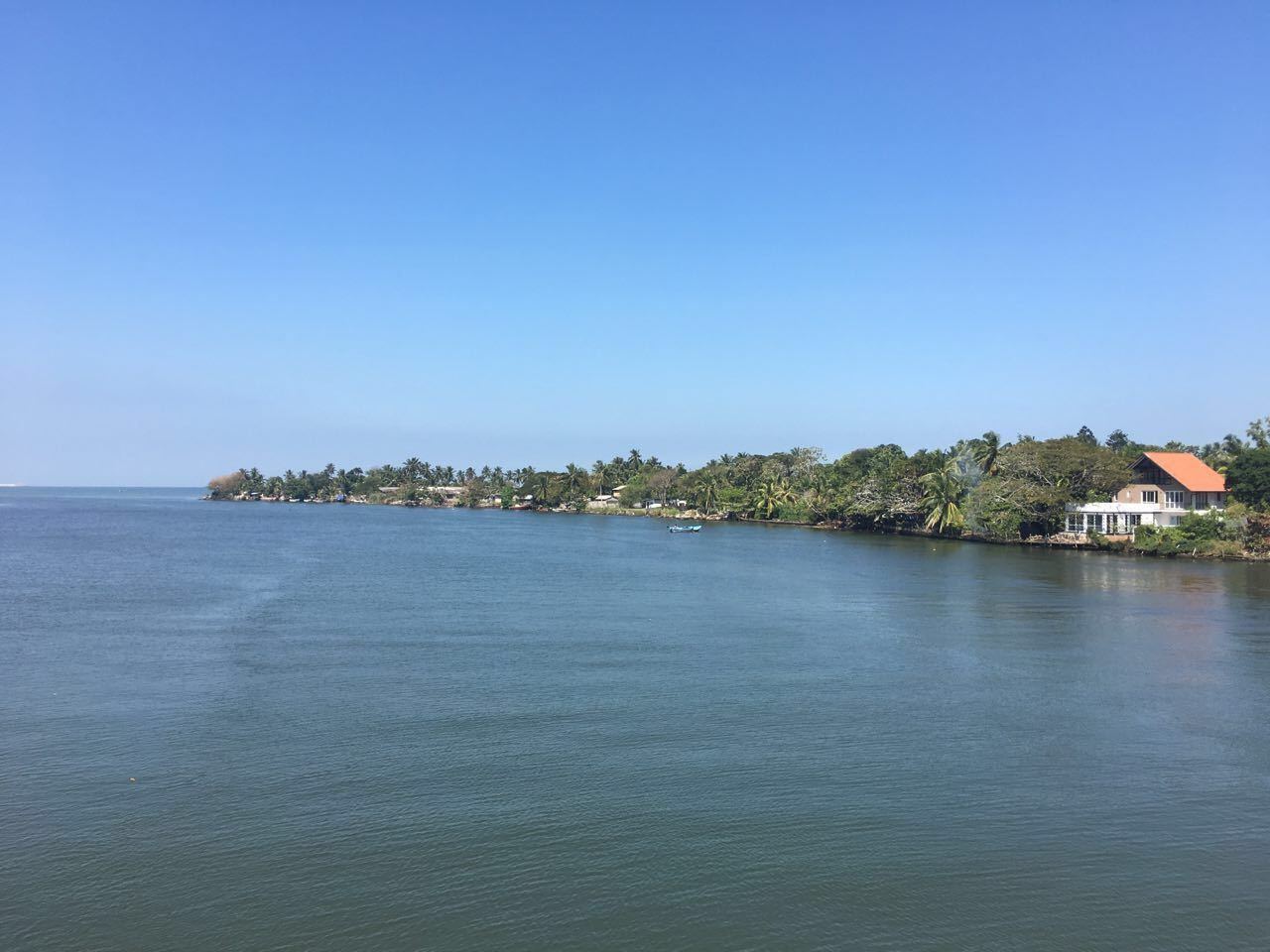 鳥瞰角度