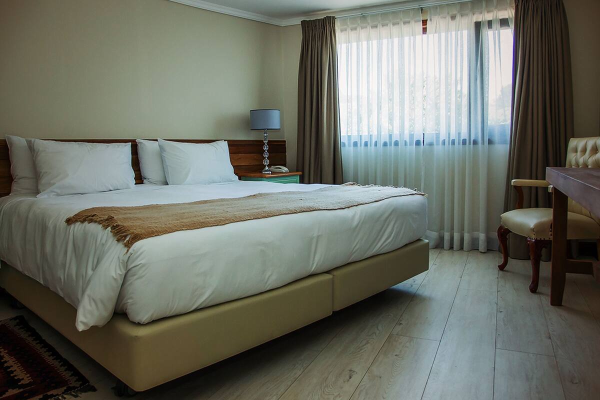 Standard Double Room, 1 King Bed, Private Bathroom | In-room safe, desk, iron/ironing board, rollaway beds