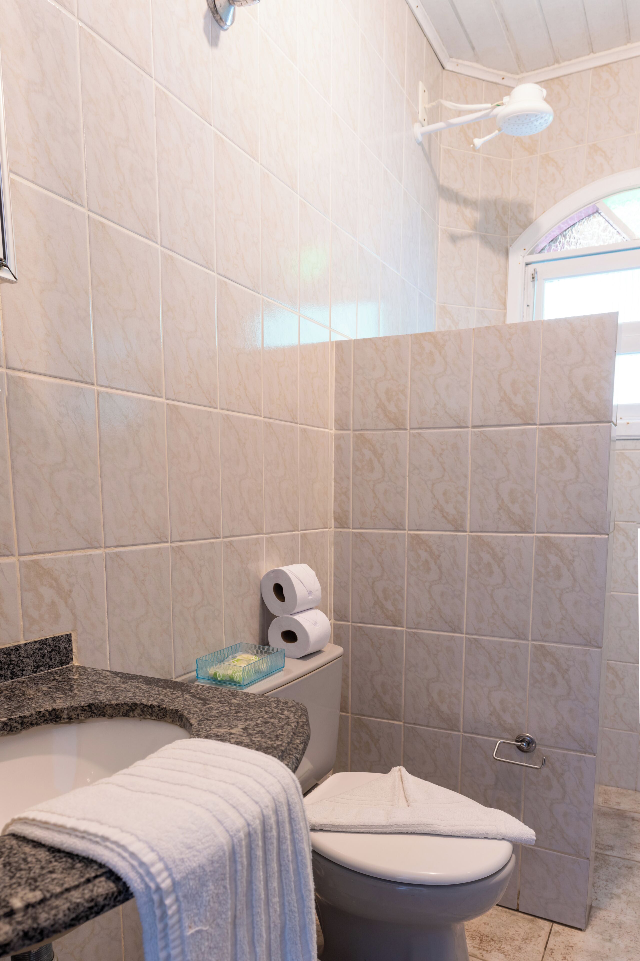 A bathroom with a toilet, a shower, and a sink.