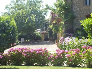 Terrain de l’hébergement 