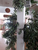 Um saguão de hotel com uma grande planta em vaso, um relógio e uma placa indicando o restaurante.