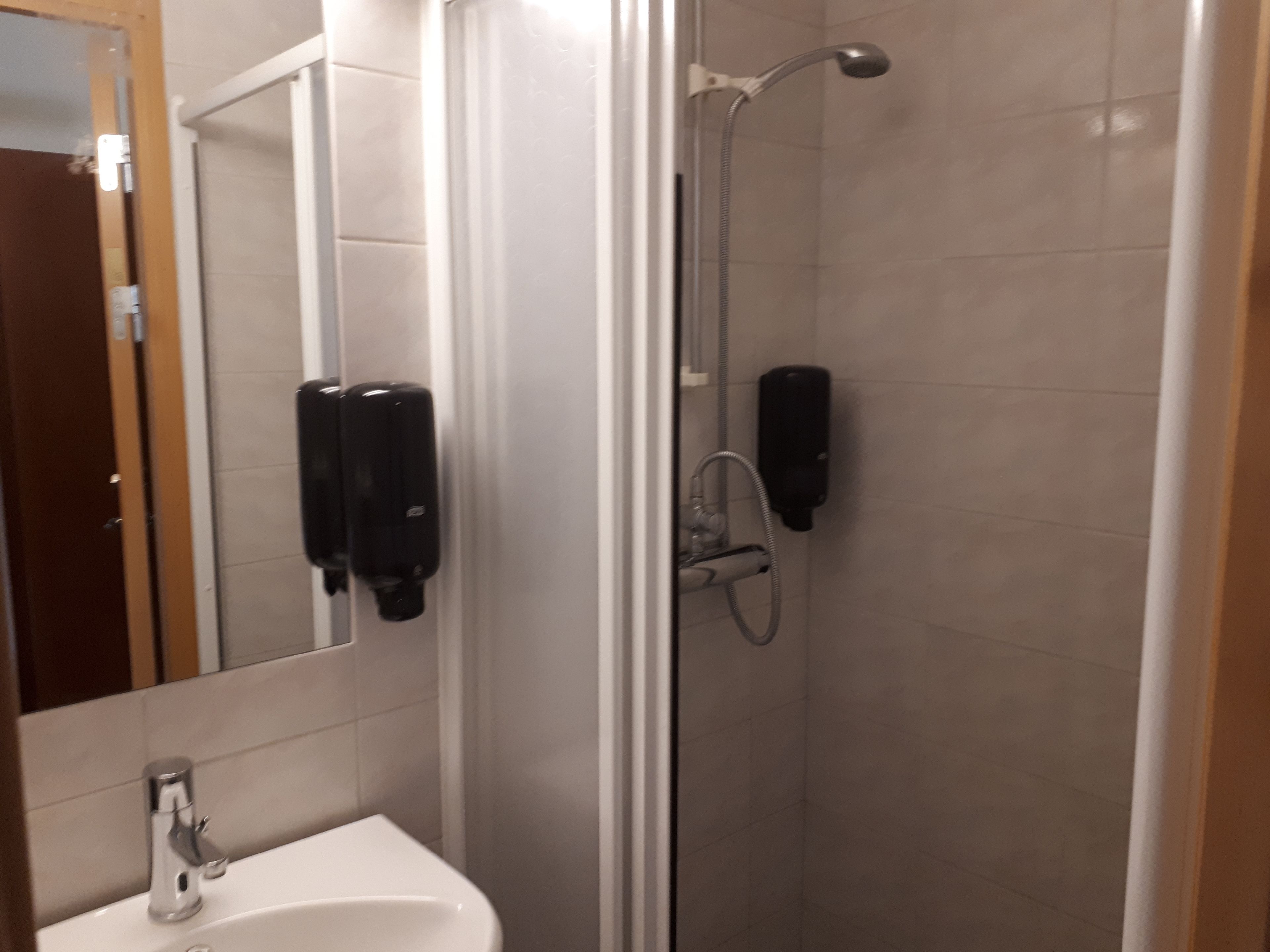 single room, private bathroom | bathroom | shower, hair dryer, towels
