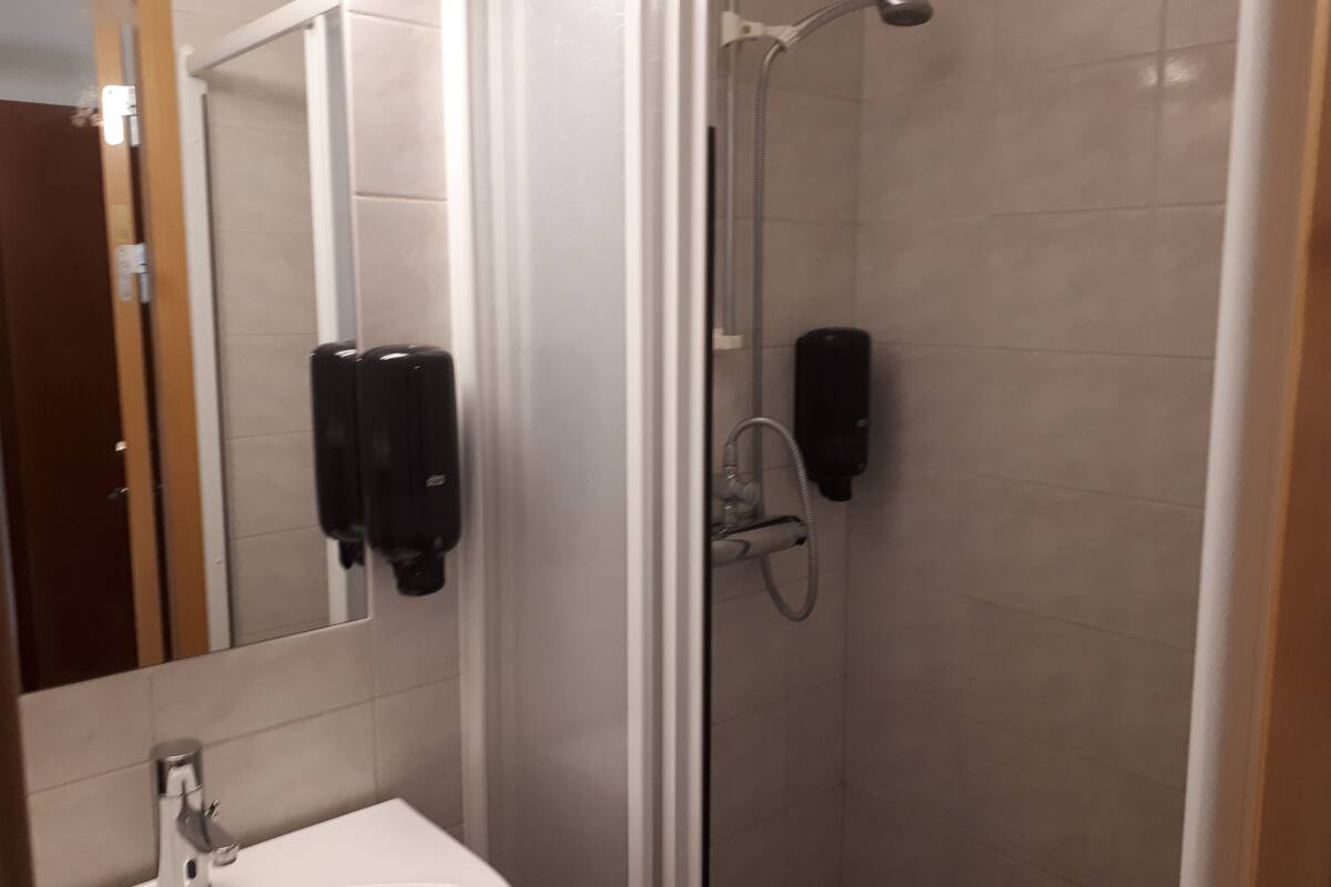 single room, private bathroom | bathroom | shower, hair dryer, towels