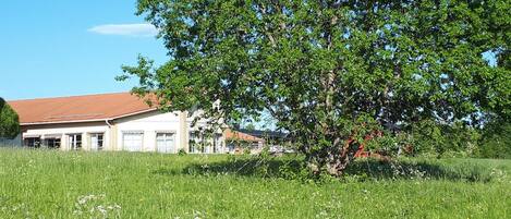 A house with a red roof, surrounded by a grassy field with wildflowers, and a large tree in the foreground.