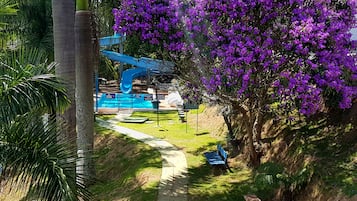 2 indoor pools, 3 outdoor pools, pool umbrellas, pool loungers