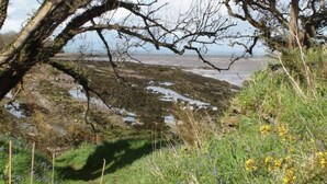 A natural landscape with a rocky terrain, a body of water, and wildflowers. - Powillimount Cottage (Dumfries)