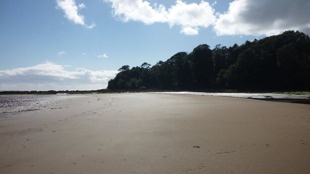 A wide, sandy beach with a forested hill in the background. - Powillimount Cottage (Dumfries)