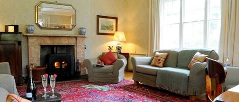 تلفزيون بشاشة مسطحة، مدفأة، مشغل دي في دي