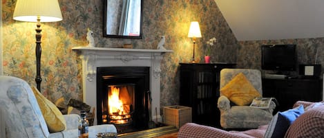 تلفزيون بشاشة مسطحة، مدفأة، مشغل دي في دي، وحدة شحن إم بي ثري