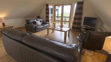 Flat-screen TV, DVD player