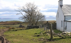 A rural landscape with a stone wall, a tree, and a white building with a sloped roof.