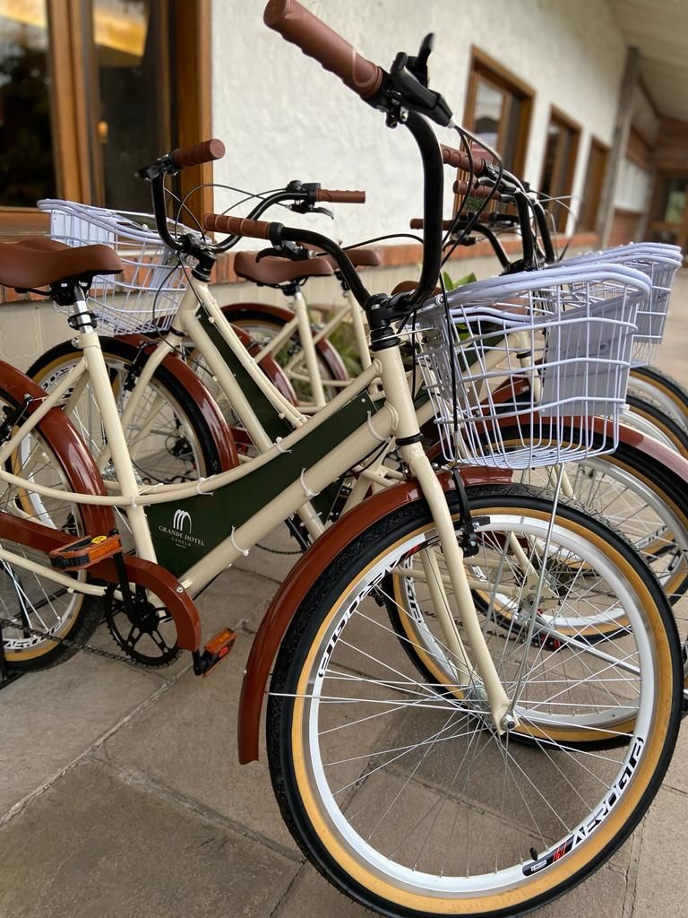 Una bicicleta con cesta y asiento, estacionada sobre una superficie pavimentada.