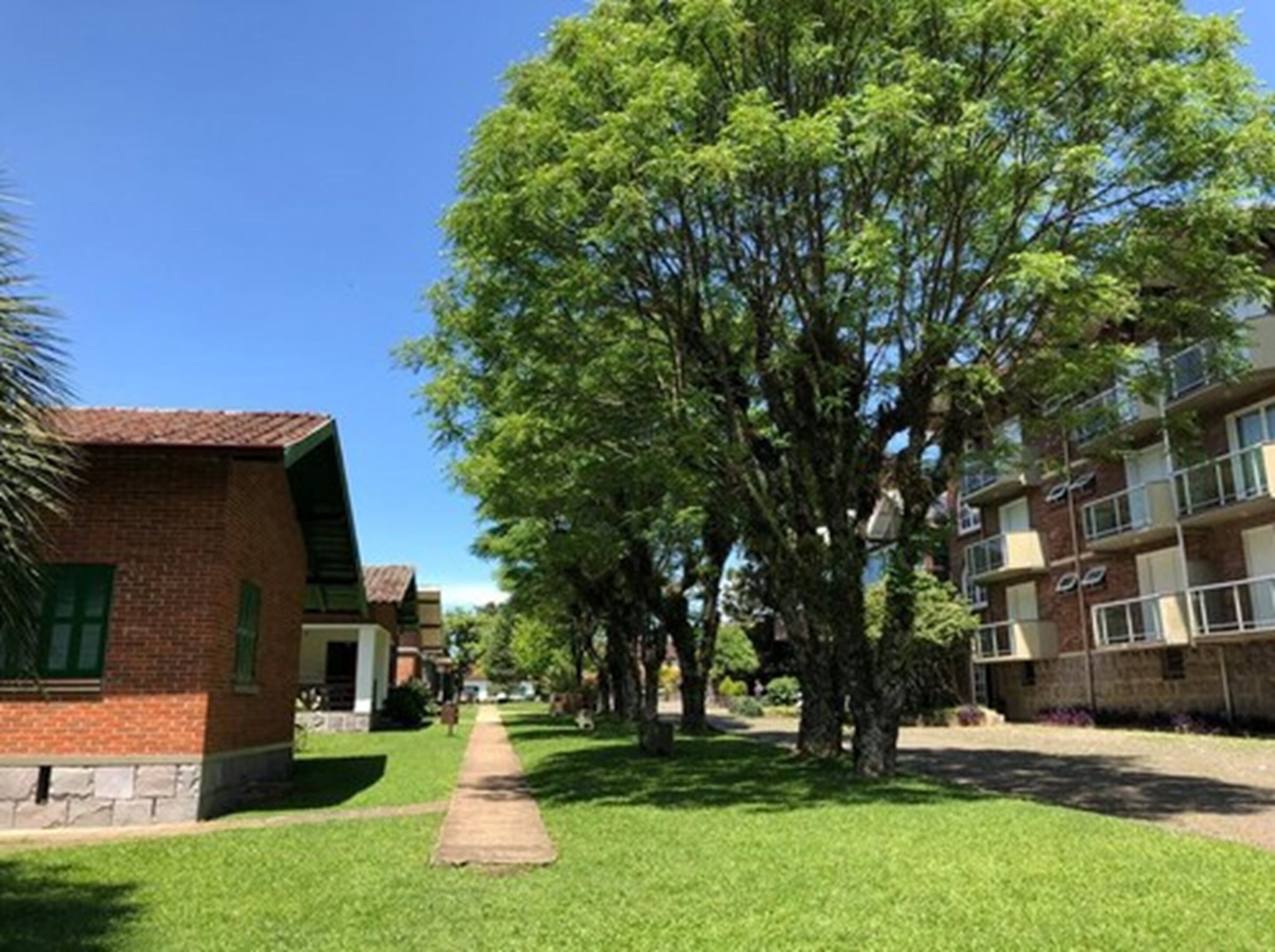 Zona residencial con un edificio de ladrillo, un camino y árboles.