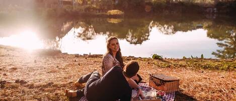 Una pareja descansando sobre una manta a cuadros junto a un lago, con una cesta de picnic y una botella de agua.