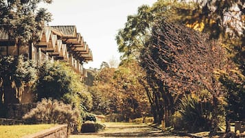 Vista para o jardim