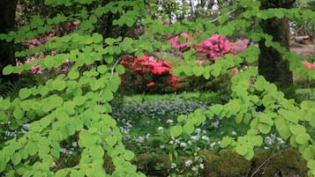 Vista al jardín