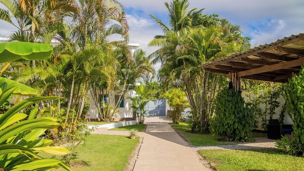 A pathway leading to a building surrounded by lush greenery and palm trees. - Hotel Casa Pierretta (Las Terrenas)