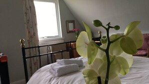 A bedroom with a bed, a window with curtains, a bedside table with a lamp, and a potted orchid plant. - Edmondston House 163451 (Kelso)