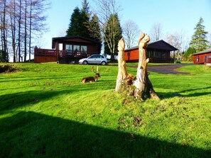 A grassy area with two wooden sculptures, a deer, and a car parked near a cabin. - Birch Lodge 20 (Newton Stewart)