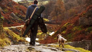 A person walking a dog on a rocky path with a backpack.