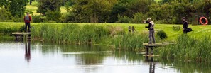 Eine friedliche Außenanlage mit Teich, Holzplattformen und üppigem Grün.