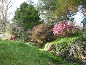 Blick auf den Garten