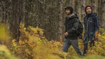 Hiking