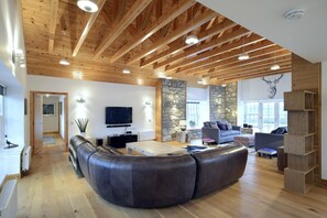 Flachbildfernseher, MP3-Dockingstation