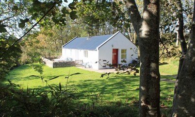 Kennels