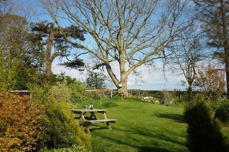 Área de parrillas y picnic