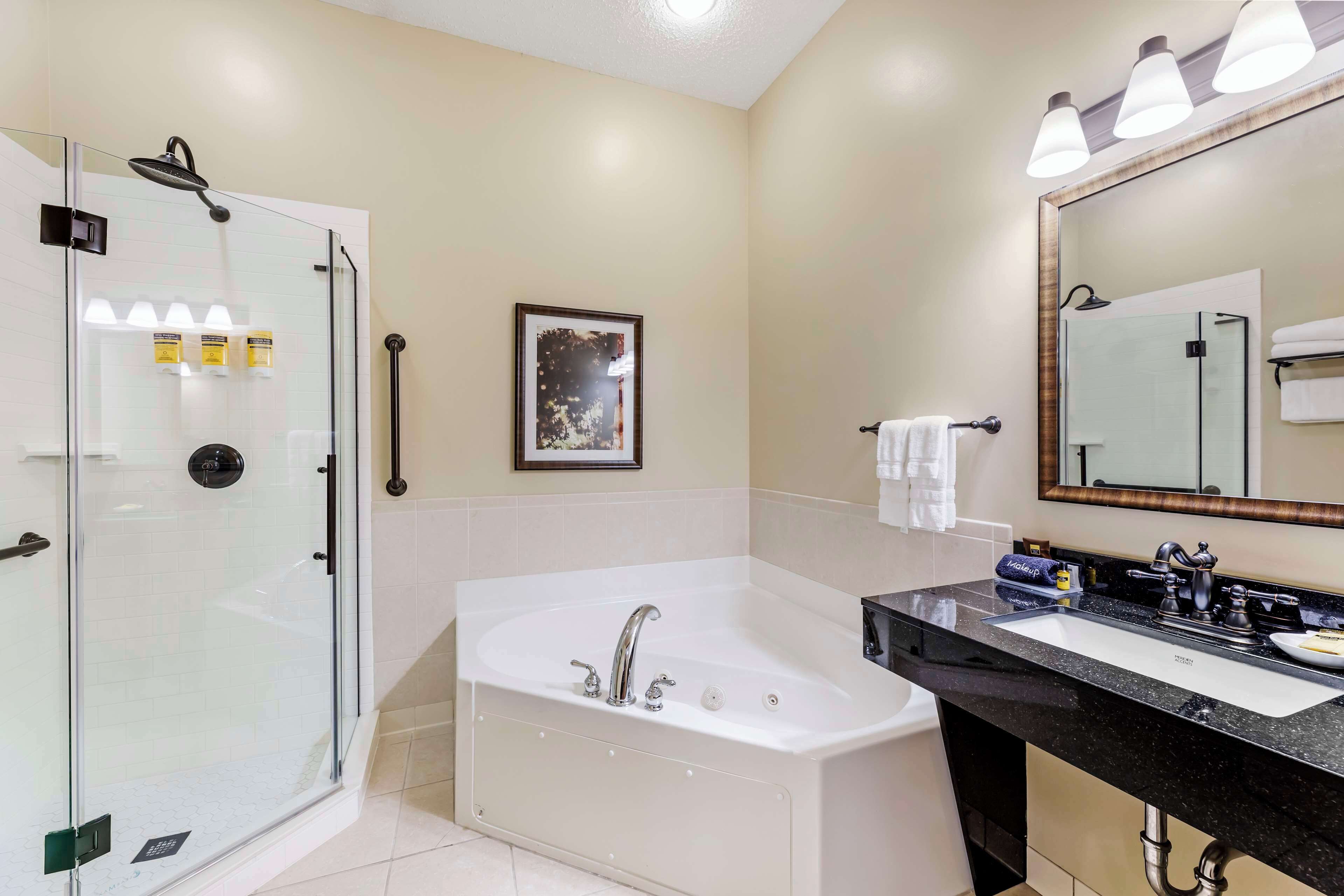 free toiletries, hair dryer, towels