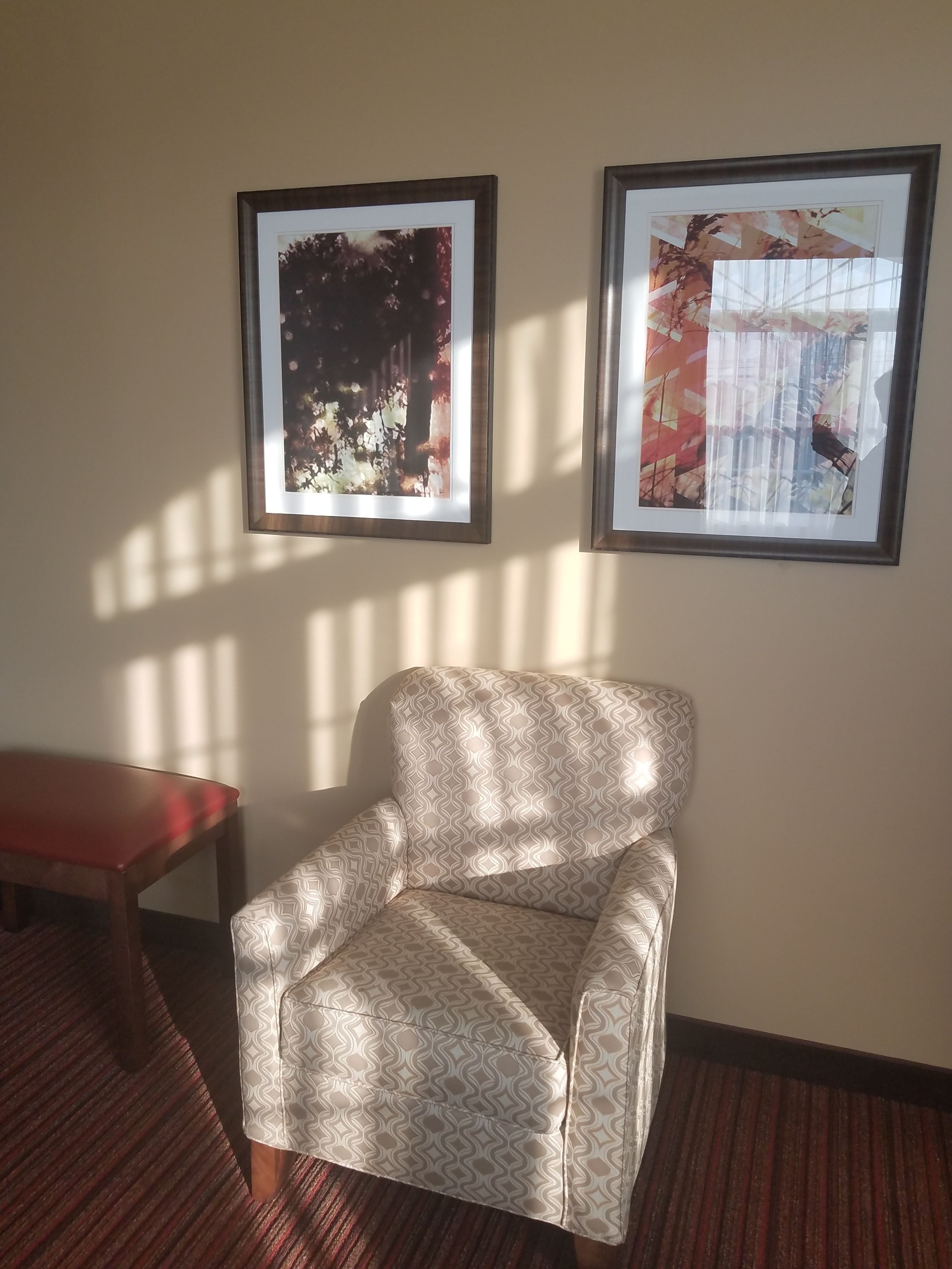 standard room, 1 king bed, non smoking, refrigerator & microwave (shower only) | 1 bedroom, hypo-allergenic bedding, desk, blackout curtains