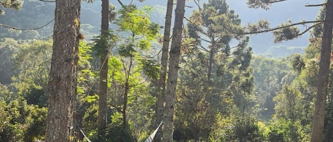 Ulkopuoli
