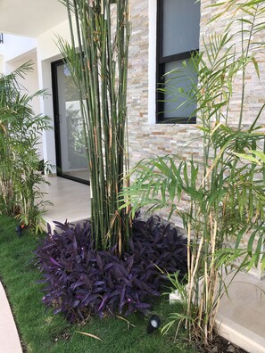 บริเวณที่พัก