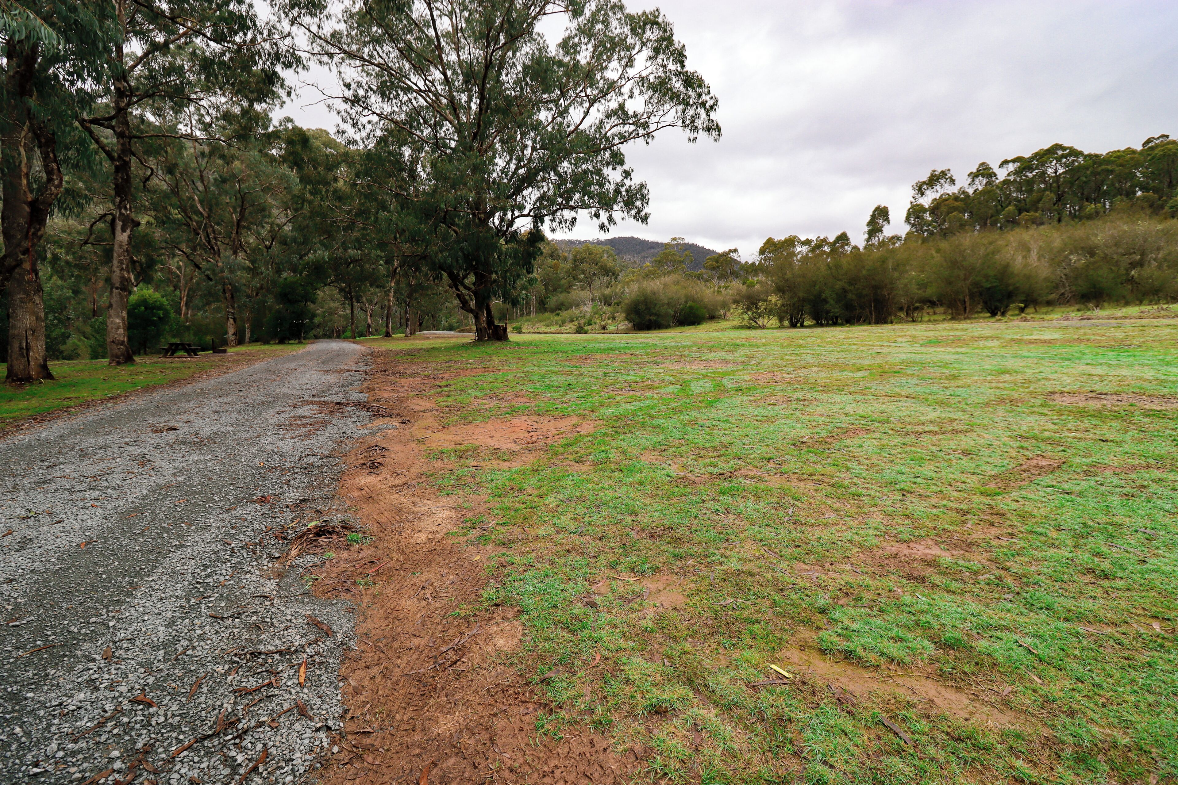 A rural road flanked by trees and open grassy fields.