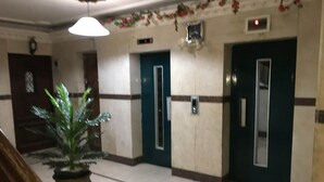 A hallway with a potted plant, a staircase, and doors with intercoms. - Heliopolis Apartment (Cairo)