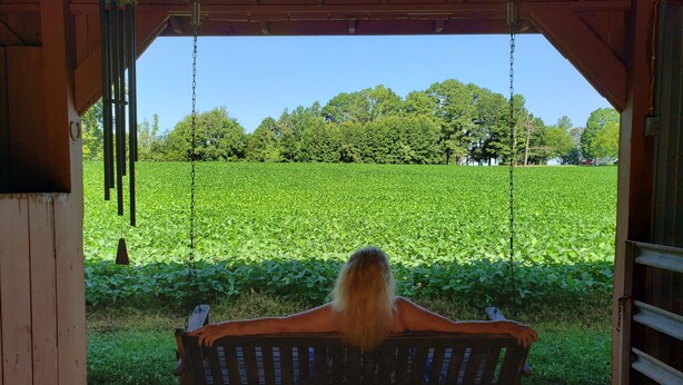 Een houten schommelbank onder een overdekte plek, met uitzicht op een groen veld en bomen in de verte.