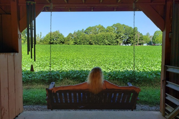 Overnattingsstedets uteområder