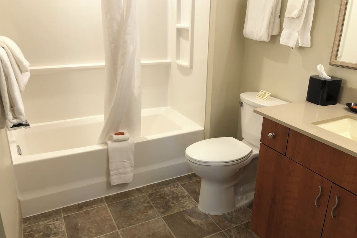 combined shower/bathtub, free toiletries, towels